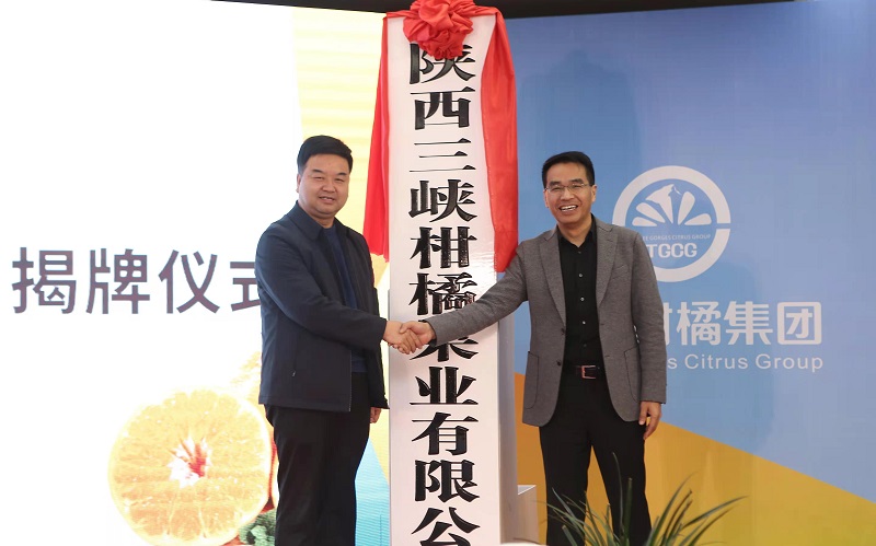 1646374013180927.jpg 536231a6911bcfc2b3730671ed79105.jpg