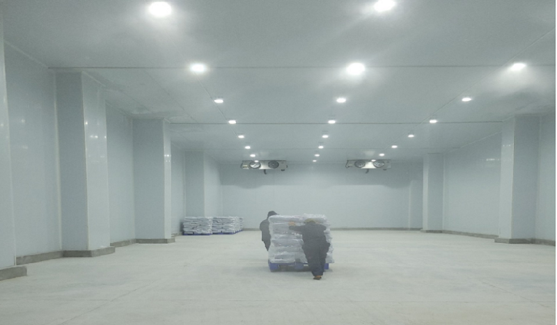 1652059729115184.png 冷鏈2.png