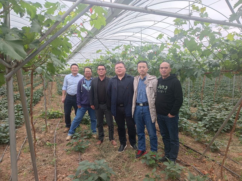 1653359338335370.jpg 三柑考察川西.jpg