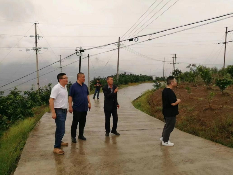 1664435570517103.png 鄉(xiāng)村振興.png