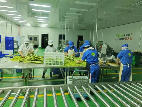 1669700934255746.png 圖片3.png