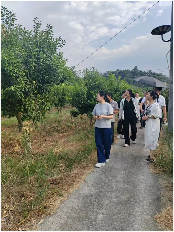 1725430847954504.png 圖片2.png